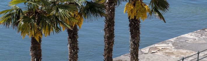 Chorvátsko od piatka uvoľňuje opatrenia, počet nakazených klesá