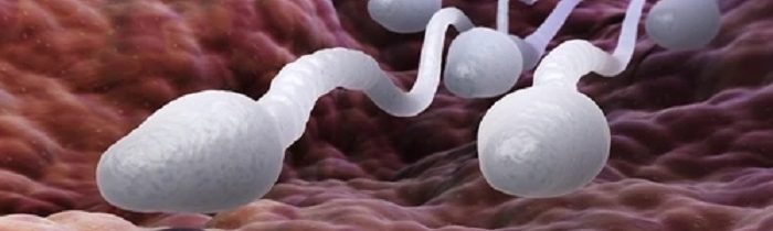 Australská moderátorka: „Neočkovaní muži! Máte nesmírně cenné zboží! Země potřebuje vaše sperma!“ …SPERMA A KREV MUŽŮ PO MRNA INJEKCI JSOU NAVŽDY ZNEHODNOCENY!