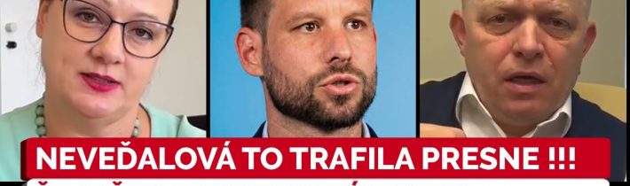 Katarína Roth Neveďalová s prvou ostrou reakciou 2025 na aktuálne dianie: Šimečka posadnutý Ficom