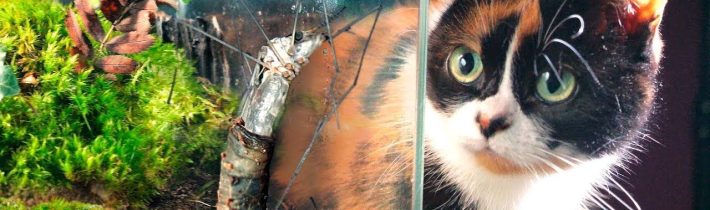 160 DNÍ BEZ POTRAVY – UZAVŘENÝ TERARIJNÍ EKOSYSTÉM