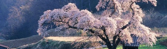 Dopoludnie na InfoVojne s Adrianom 5.5.2025