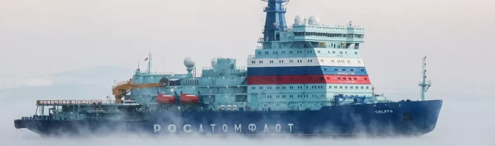 Asia Times: NATO vo zveráku