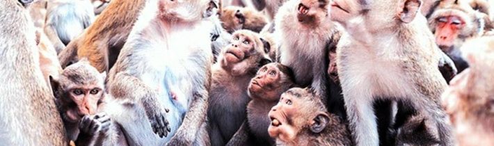Proč někteří lidé slepě věří globalistické propagandě. Jak funguje systém šíření agend. ~ NESPOKOJENÝ