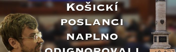 Alexander Riabov: vystúpenie pred mestským zastupiteľstvom v Košiciach