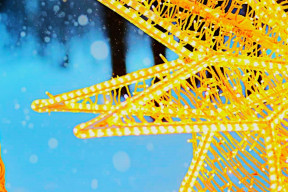 Poezie svátečních dnů