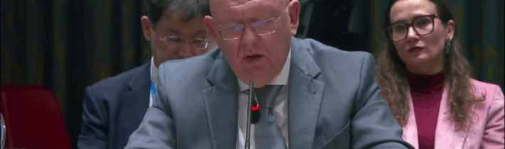 V. A. Nebenzja na zasadnutí Bezpečnostnej rady OSN o situácii okolo Venezuely
