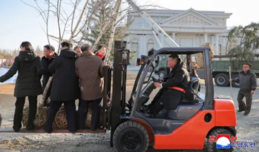 Obrázok je len ilustračný alebo len ako dekorácia.