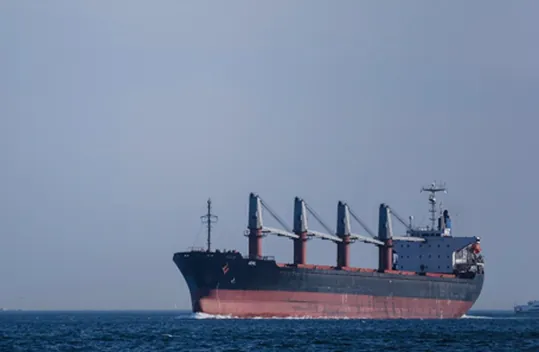 Obrázok je len ilustračný alebo len ako dekorácia.