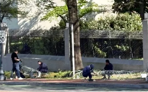 Obrázok je len ilustračný alebo len ako dekorácia.