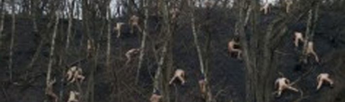 Dron vletěl do zakázaného lesa a zachytil něco, co nikdo neměl vidět!