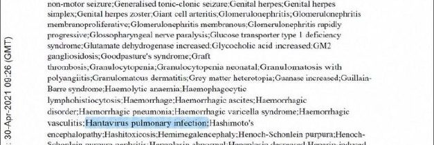 Hantavírus medzi nežiaducimi účinkami vakcíny Pfizer? Sociálne siete zaplavili …