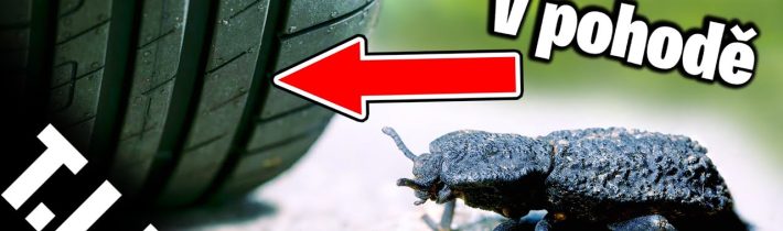 Internet na Měsíci od Nokie/ zdroj síly mravenců/ Odebrání materiálu z asteroidu/Rypouši [TIP 223]