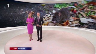 Pokračujeme so zvieratkami  Obyvatelia bratislavskej Petržalky sa sťažujú na výs…
