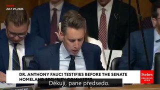 Na radu právního zástupce s úctou odmítám odpovědět na základě svých práv podle …