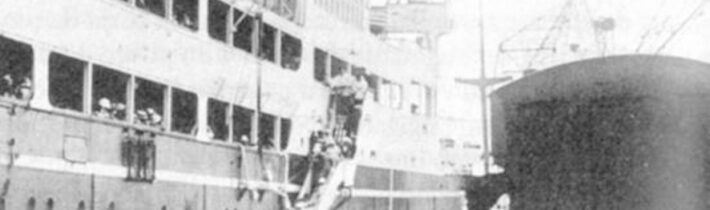 Japonská migrace do Brazílie – Kabinet Kuriozit