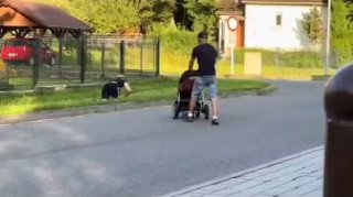 Idete a zrazuT.me/slovenskymedved…