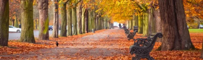 Dopoludnie na InfoVojne s Adrianom 27.10.2026