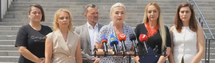 Štát aj polícia pri riešení domáceho násilia zlyhávajú, tvrdí opozičné KDH. Žia…