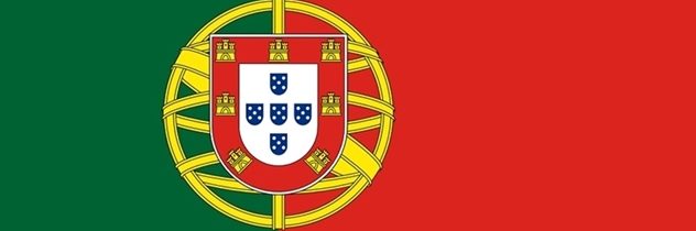 Krutá smrť v ohni. Lesný požiar v Portugalsku si vyžiadal 19 obetí. Väčšinu z nich plamene zasiahli v autách