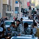 Sebevražedná brigáda IS. Interpol vydal seznam 173 možných teroristů