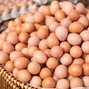 Kauza jedovatých vajec odhalila čudný biznis: Prečo ich pre Slovákov varia a šúpu v cudzine?