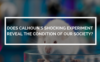 VIDEO: Děsivý experiment Dr. Calhouna ze 60. let odhaluje “autoregulus” populační exploze, proti kterému neexistuje obrana. Bílá rasa kopíruje experiment vědce a jeho hordy bílých myší! [CZ Titulky]