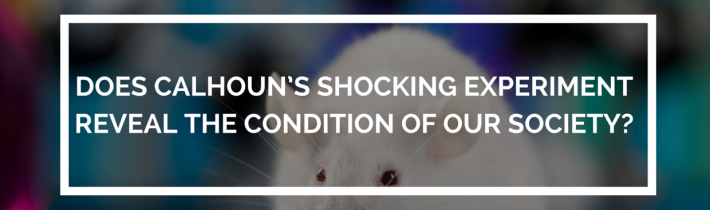 VIDEO: Děsivý experiment Dr. Calhouna ze 60. let odhaluje “autoregulus” populační exploze, proti kterému neexistuje obrana. Bílá rasa kopíruje experiment vědce a jeho hordy bílých myší! [CZ Titulky]