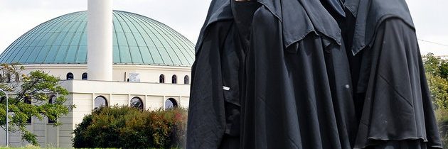 Právo šaría a zákaz vtipů na muslimy ? rakouský průzkum mezi migranty