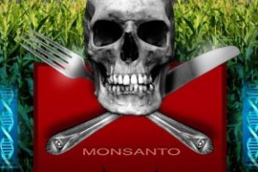 Patrik Linhart o GMO v Informačnej vojne