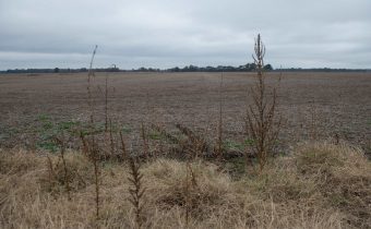 Monsanto opět u soudu: herbicid Dicamba zničil přes milion hektarů zemědělské půdy