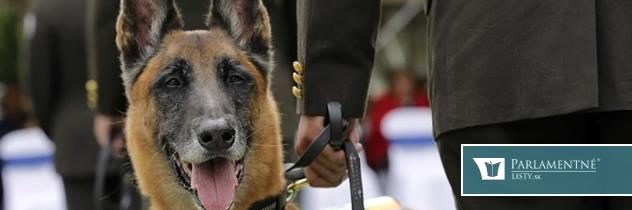 Prieskum: Viac ako polovica Slovákov podporuje zákaz držať psa na reťazi