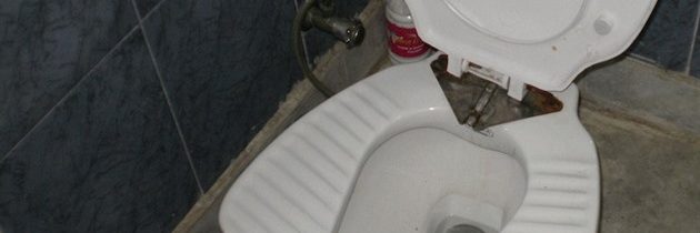 Uprchlíci v Nizozemsku jsou rozzuřeni, protože si musí čistit vlastní toalety