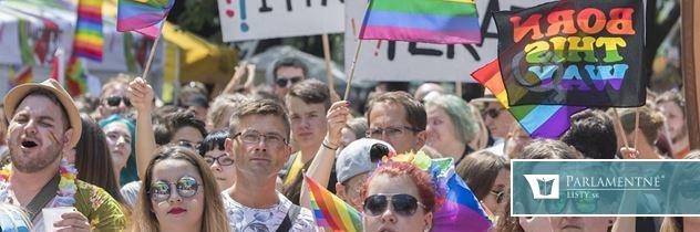 LGBTI združenia kritizujú ministerku Laššákovú: Neschválila dotácie na ich projekty