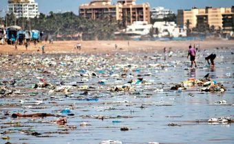 Dva roky čistili dobrovolníci indickou pláž doslova utopenou v plastech. Odklidili miliony kilogramů odpadu. Díky nim se sem vrátily mořské želvy