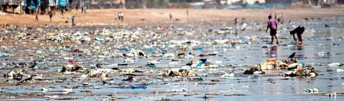Dva roky čistili dobrovolníci indickou pláž doslova utopenou v plastech. Odklidili miliony kilogramů odpadu. Díky nim se sem vrátily mořské želvy