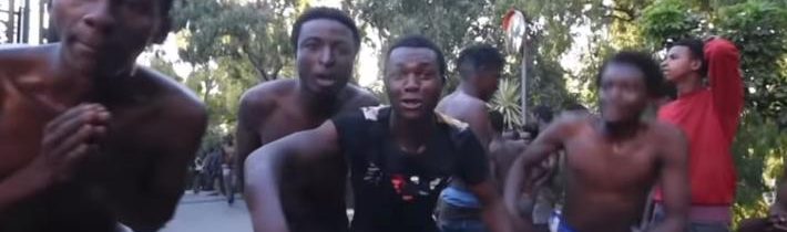 Do Evropy proudí magoři, analfabeti a kriminálníci z Afriky