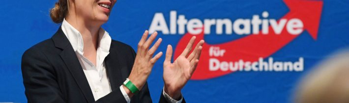 Alternatíva pre Nemecko predbehla v prieskume sociálnych demokratov
