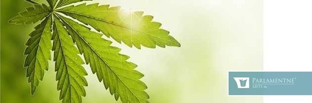 Marihuana dostala zelenú. Europarlament odobril jej kontrolované využívanie na liečebné účely