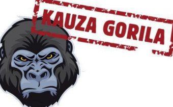 Gorila v podaní médií: Politická pornografia na slovenský spôsob