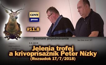 Jelenia trofej a krivoprísažník Peter Nízky (Rozsudok 1T/7/2018) #11.8