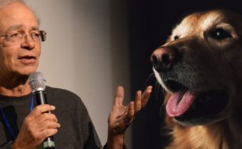 Profesor z univerzity Princeton: sex so psami je neškodný!