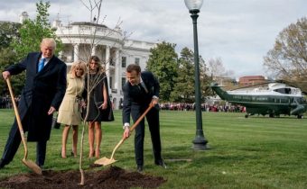 Vyschol dub symbolizujúci priateľstvo Trumpa s Macronom, ktorý obaja prezidenti zasadili v záhrade Bieleho domu