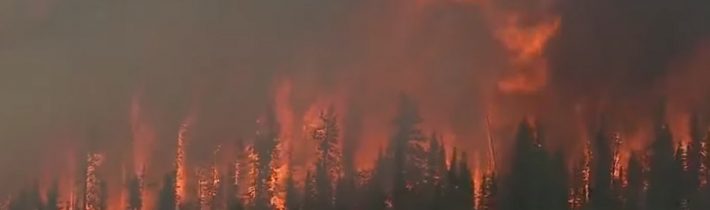 Masivní lesní požáry na Sibiři jsou klimatickou katastrofou