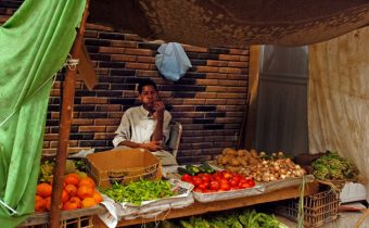 Egypt dúfa, že poľnohospodársky export zachráni ekonomiku zasiahnutú koronavírusom
