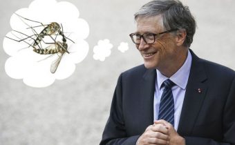 Bill Gates plánuje vypouštět v USA geneticky modifikované komáry. Chce tak prý snížit jejich počet. Příprava na depopulaci planety?