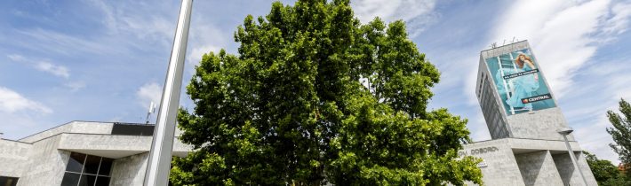 Priestor okolo bratislavského Domu odborov treba revitalizovať celý. Aj tržnicu či Filiálku, myslí si starosta Kusý