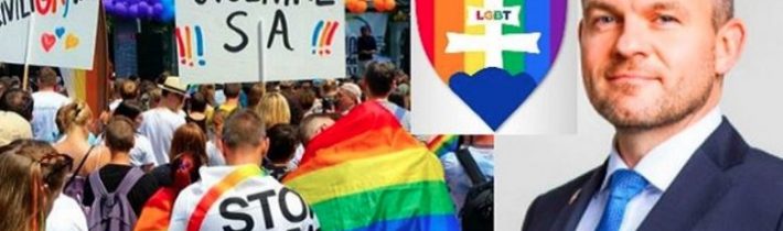 Pellegriniho „teplá vlna“: Deň pred voľbami schválila vláda dotácie za vyše 700 000 eur na podporu LGBTI agendy, islamu na Slovensku, či pomoc utečencom