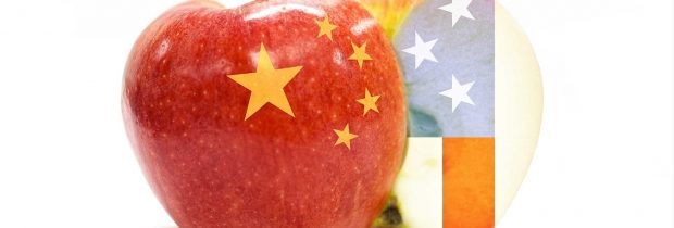 Čínská firma žaluje Apple o 34 miliard korun za uloupené patenty