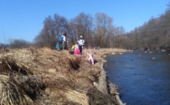 V rieke Slatina sa nachádzala látka, ktorá je nebezpečná pre životné prostredie.  Inšpekcia obviňuje mliekareň, mliekareň Inšpekciu