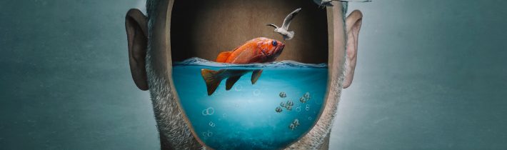 „COVID VÝUČBA“ nesplnila očakávania učiteľov, ani žiakov